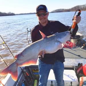 Meet your Posher, Tyson